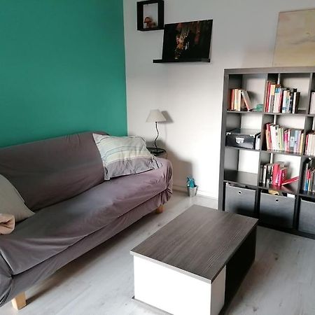 Appartement De Charme, Garage, Terrasse, Piscine 리옹 외부 사진
